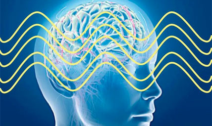 Méditation Transcendantale et cohérence cérébrale ; un cerveau intégré